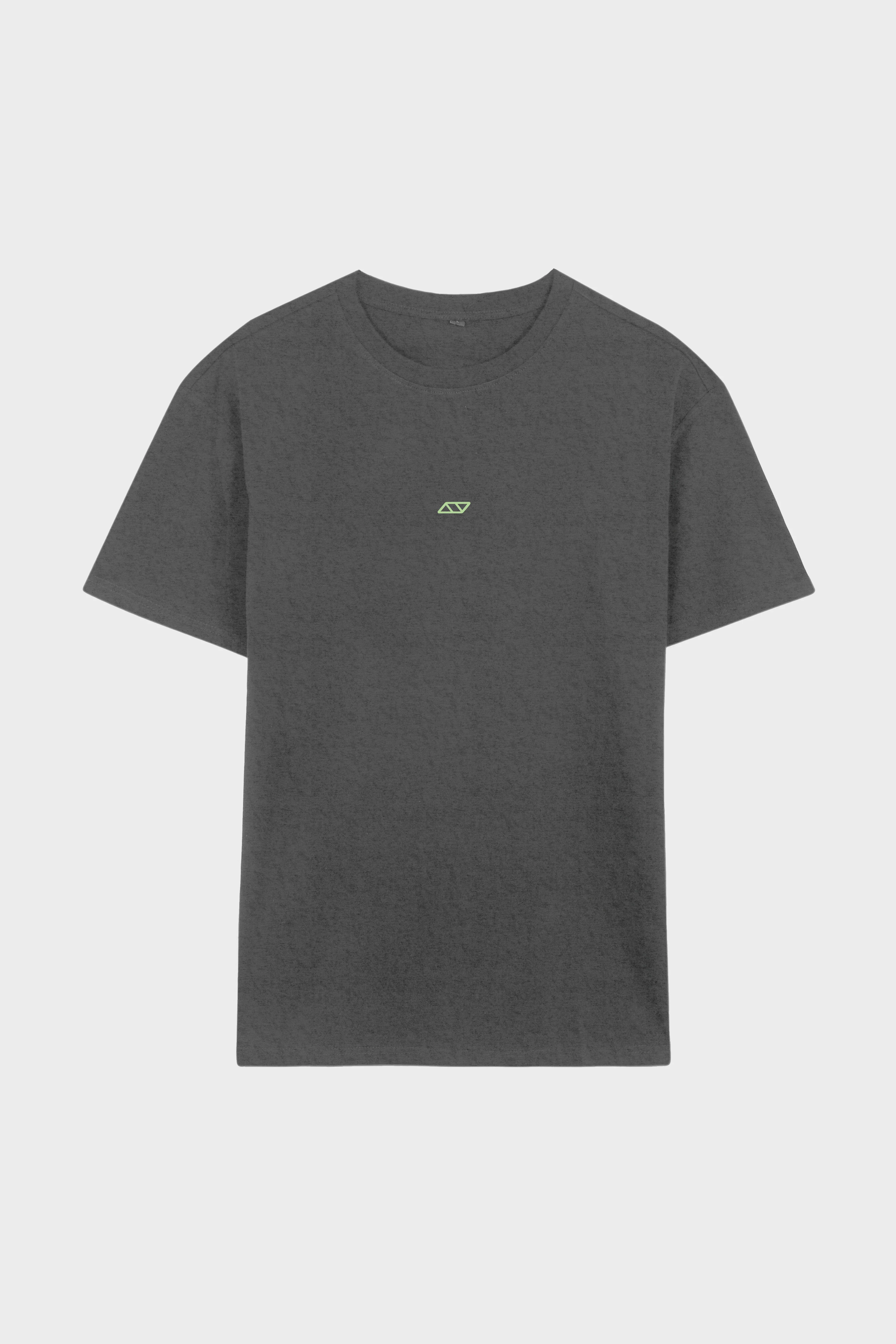 OBSESSIVE 2.0 OVERSIZED T-SHIRT - GRIS Y VERDE - Image 5